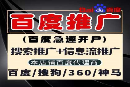 SEM代理服务：助力企业精准营销案例解析